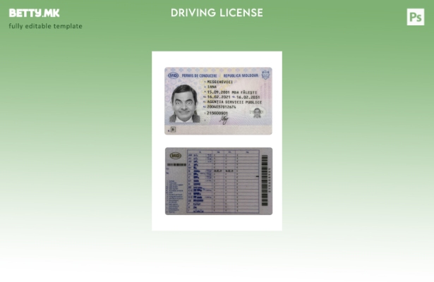 Модерен стил Молдавска возачка дозвола присутен шаблон